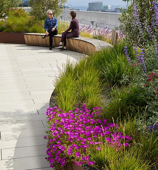 Amgen_Terrace_PhotoByBruceDamonte_19 550x510H
