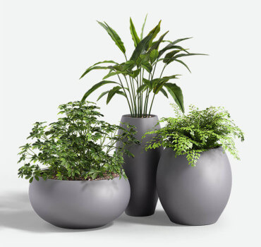 Aquarian_FRP_Group_with_plants_FRP_F2F4F2