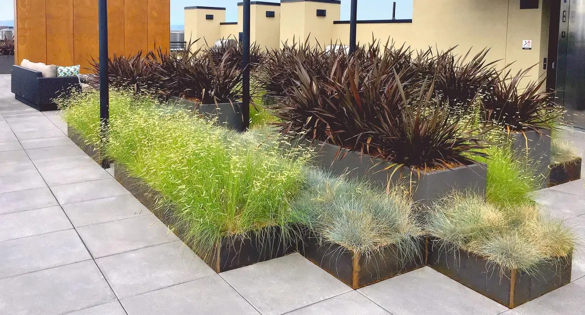 Aquatic-III-Berkeley-CA-Rooftop-Wilshire-Weathering-Steel-GRTs