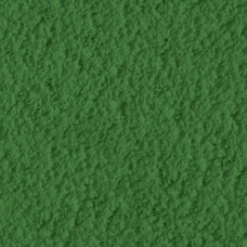 Basil_RS