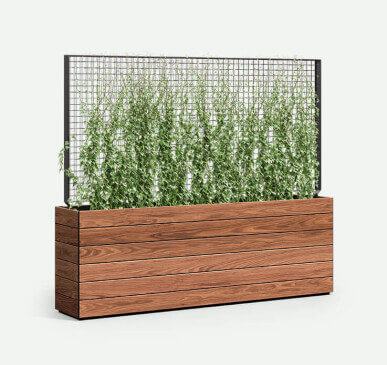 BoulevardWood-PL-GS-trellis-BVX2-961836-86C-F2F4F2