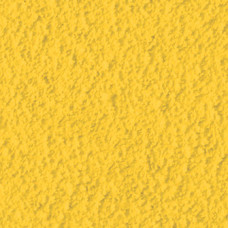 Citron_RS