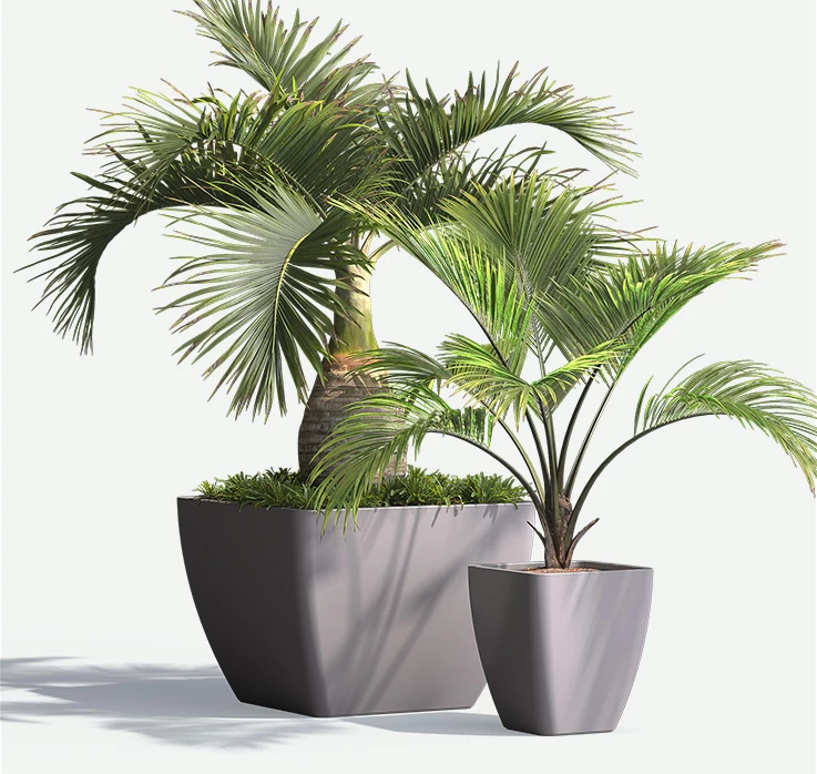 Downtown-FRP-Squares-plants-F2F4F2