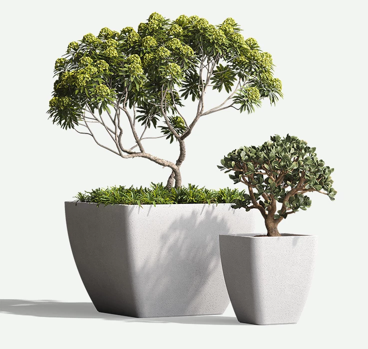 Downtown-GFRC-Squares-plants-F2F4F2