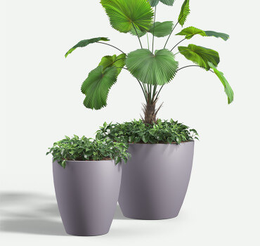 downtown_group_med_plants_FRP_F2F4F2