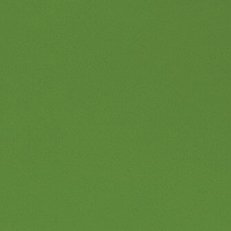 Fern-RAL6025
