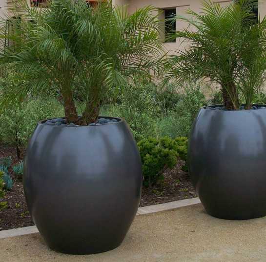 FRP-Fiberglass-Aquarian-Planter1