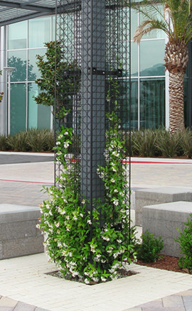 IMG_4896_69132964 planting column 270px