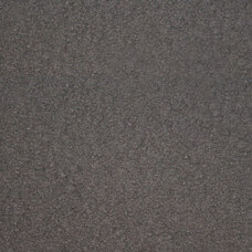 Iron