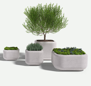 Montara-4_square_group_sm_plants_F2F4F2
