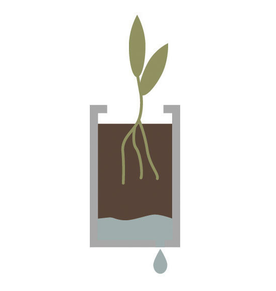 options-drainage