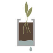 options-drainage