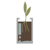 options-irrigation