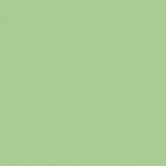 Pistachio-RAL6019