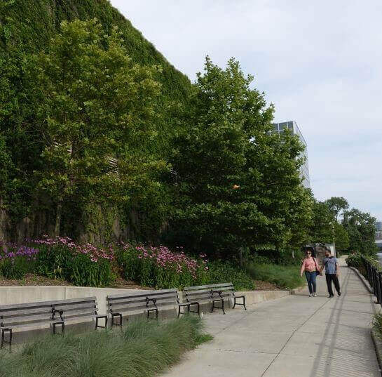 THUMB_WF Lincoln Park_69172564_545X537