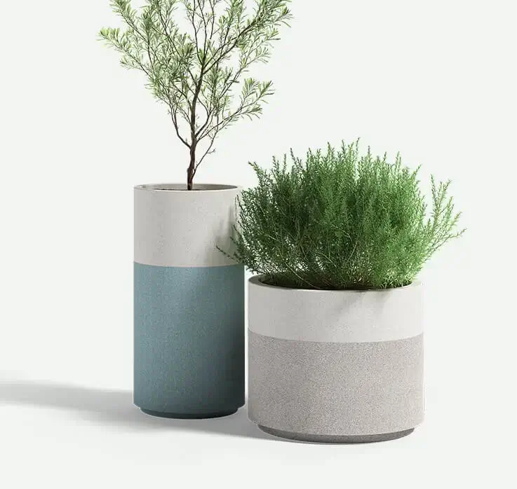 Two-tone_Wilshire_group_Plants_WCST_F2F4F2