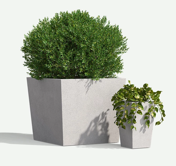 Urban-GFRC-Squares-plants-F2F4F2