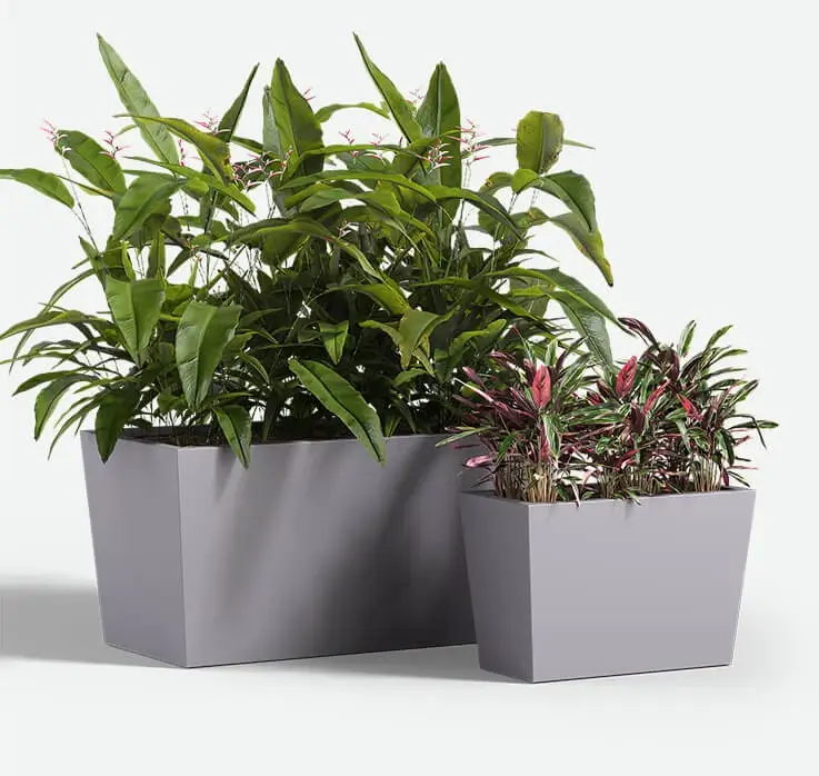 Urban_Rectangle_FRP_list_Group_with_plants_F2F4F2