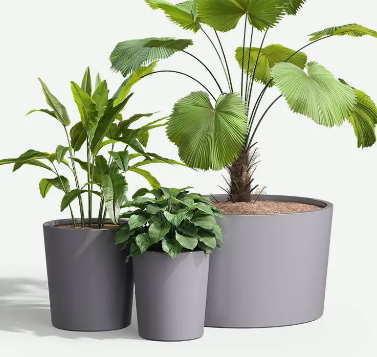 UrbanGRFC-round-group-pl-F2F4F2