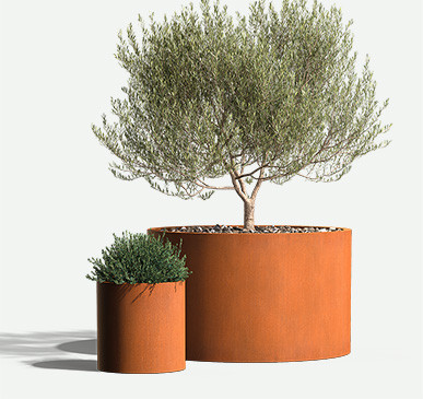 Wilshire-Round-th-WS-plants-F2F4F2
