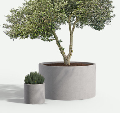 Wilshire_Round_GRFC__PLANTS_f2f4f2_737x698