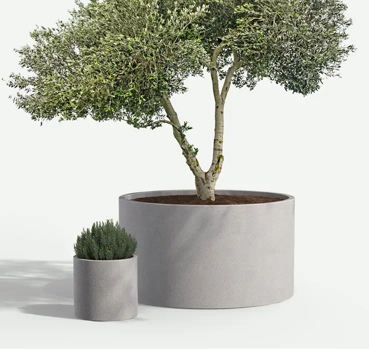 Wilshire_Round_GRFC__PLANTS_f2f4f2_737x698