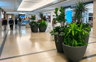CF Sherway Gardens Project Image 06 - 970x635
