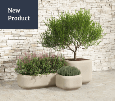 New Product Launch
